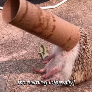 Meet your Posher, Oxy